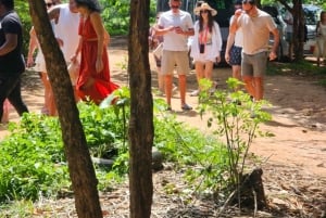 Zanzibar: wycieczka po farmie przypraw