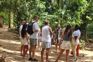 Zanzibar: wycieczka po farmie przypraw