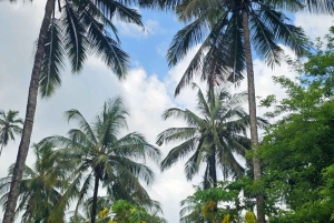 Zanzibar: wycieczka po farmie przypraw