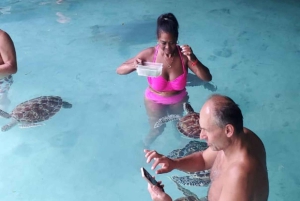 ZANZIBAR : découverte d'une ferme d'épices et baignade avec les tortues à la grotte de Salaam