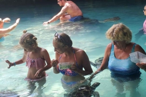 ZANZIBAR : découverte d'une ferme d'épices et baignade avec les tortues à la grotte de Salaam