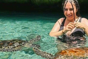 ZANZIBAR : découverte d'une ferme d'épices et baignade avec les tortues à la grotte de Salaam