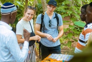 ザンジバル：スパイス農園ガイド付きツアー（ランチ付き）