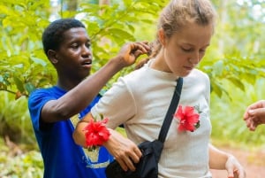 ザンジバル：スパイス農園ガイド付きツアー（ランチ付き）