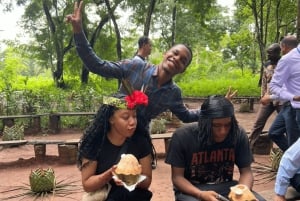 Sansibar: Mausteviljelmän opastettu kävelykierros ja lounas