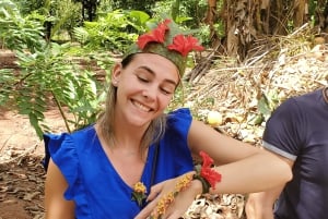 Sansibar: Mausteviljelmän opastettu kävelykierros ja lounas