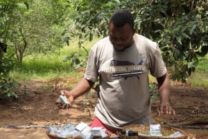 Zanzibar: wycieczka z przewodnikiem po farmie przypraw z lunchem