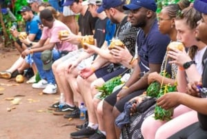 ザンジバル：スパイス農園、ジョザニ森林、ブルーラグーン日帰りツアー