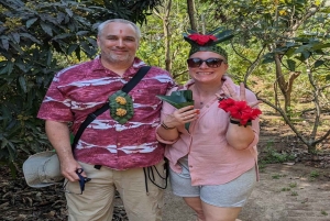 ЗАНЗИБАР: однодневная экскурсия на ферму специй, в лес Джозани и Голубую лагуну