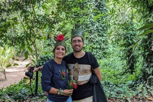 ЗАНЗИБАР: однодневная экскурсия на ферму специй, в лес Джозани и Голубую лагуну