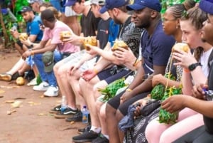 ЗАНЗИБАР: однодневная экскурсия на ферму специй, в лес Джозани и Голубую лагуну