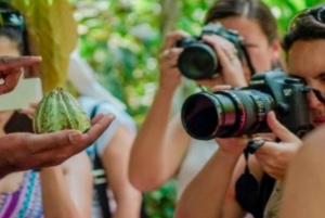 Zanzibar: Spice Farm, Jozani Forest, and Stone Town Tour