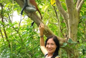 Zanzibar: Spice Farm, Jozani Forest, and Stone Town Tour