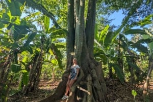 Zanzibar: krydderifarm, Jozani-skoven og The Rock Restaurant