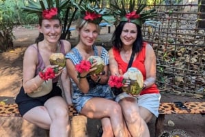 Zanzibar: krydderifarm, Jozani-skoven og The Rock Restaurant