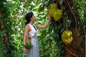 Zanzibar: krydderifarm, Jozani-skoven og The Rock Restaurant