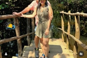 Zanzibar: krydderifarm, Jozani-skoven og The Rock Restaurant