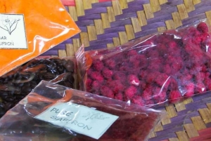 ZANZIBAR: KRYDDGÅRD, JOZANI-SKOGEN OCH MTENDE-STRANDEN