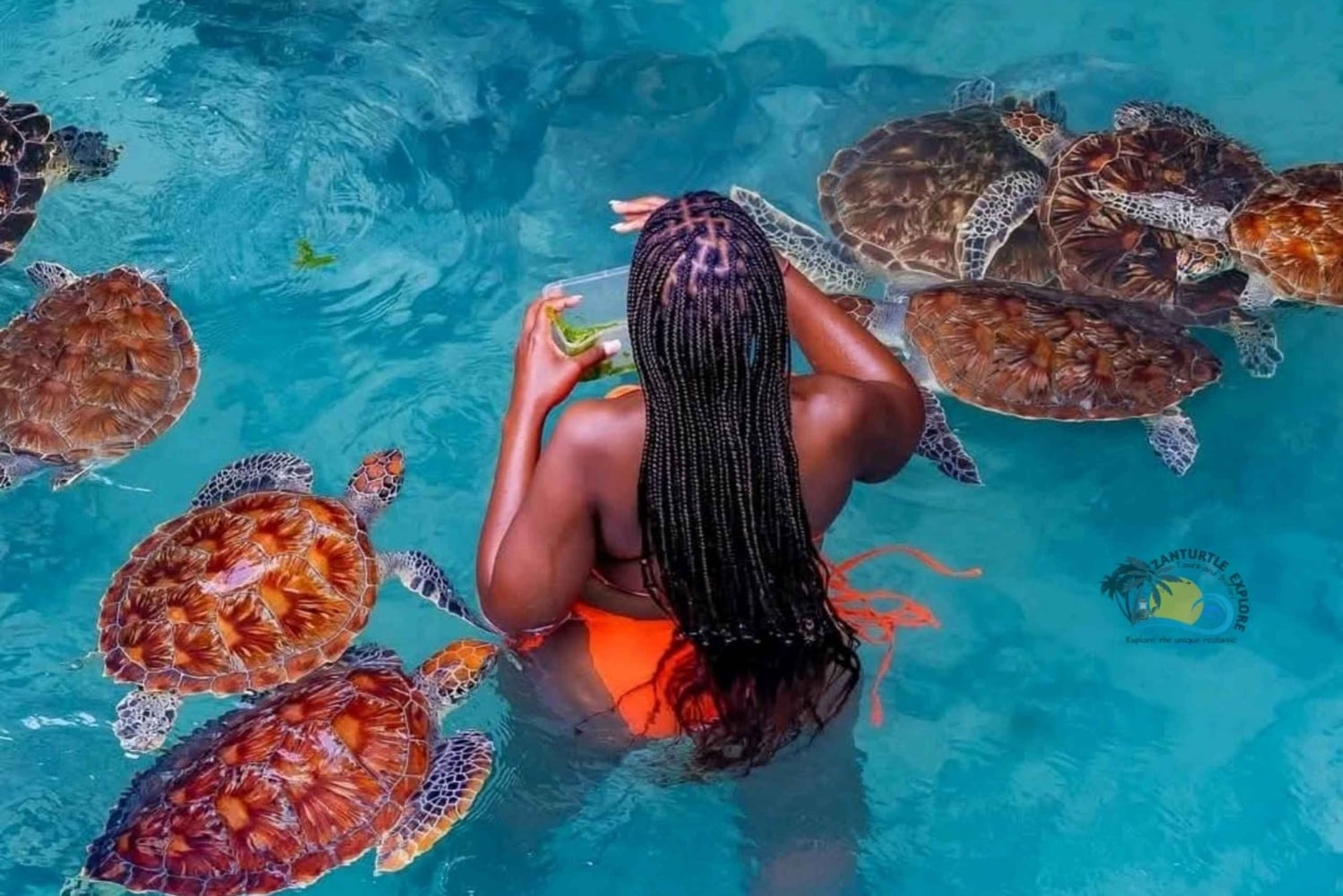 Zanzíbar: granja de especias, bosque de Jozani y acuario de la cueva de Salaam