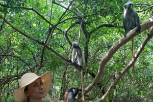 Zanzíbar: granja de especias, bosque de Jozani y acuario de la cueva de Salaam