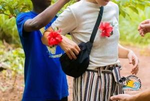 Zanzíbar: granja de especias, bosque de Jozani y acuario de la cueva de Salaam