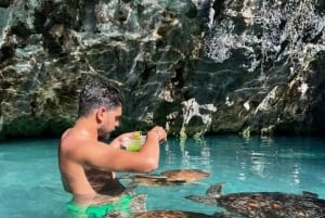 Zanzíbar: granja de especias, bosque de Jozani y acuario de la cueva de Salaam