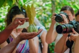 Zanzibar: Spice Farm, Jozani Forest & Sea Turtle Sanctuary