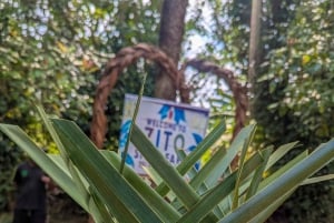 ザンジバル：スパイス農園ツアー、ココナッツ・クライミング、地元のランチをお楽しみください