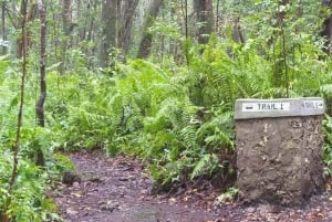 ZANZIBAR: Maustefarmilla ja Jozanin metsässä