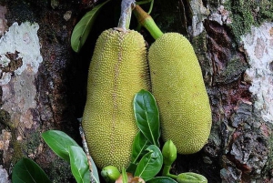 Zanzibar: Spice Farm, Mtende Beach & The Rock