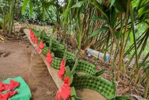 Zanzíbar: tour por una plantación de especias con almuerzo tradicional