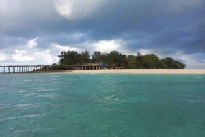 ZANZIBAR: Kruidenboerderij, Prison Island & Nakupenda met lunch