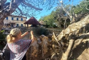 ZANZIBAR: Kruidenboerderij, Prison Island & Nakupenda met lunch
