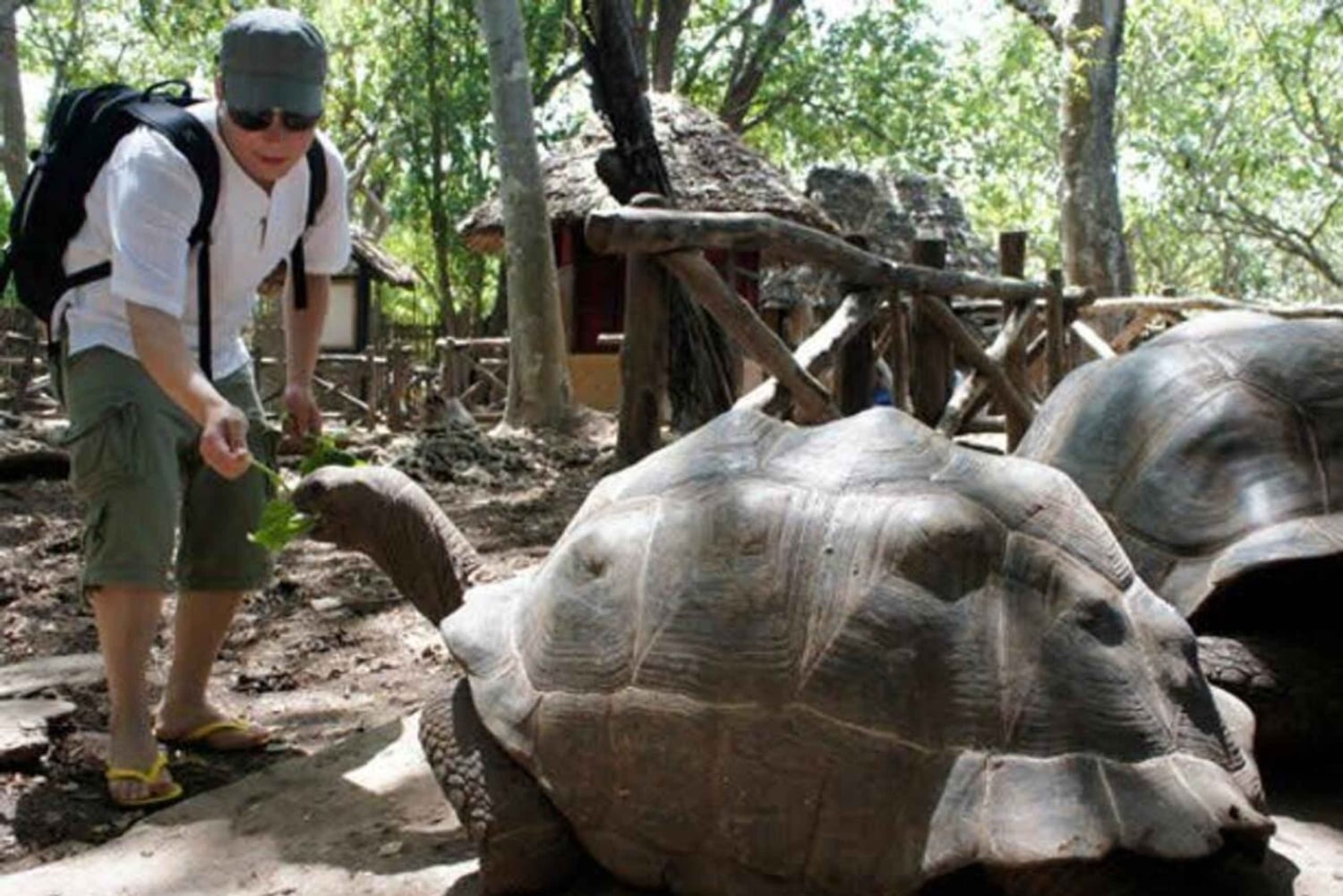 Zanzibar: Kryddergård, Prison Island og Stone Town – guidet tur