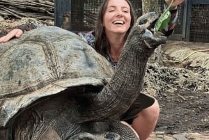 Zanzibar: Kryddergård, Prison Island og Stone Town – guidet tur