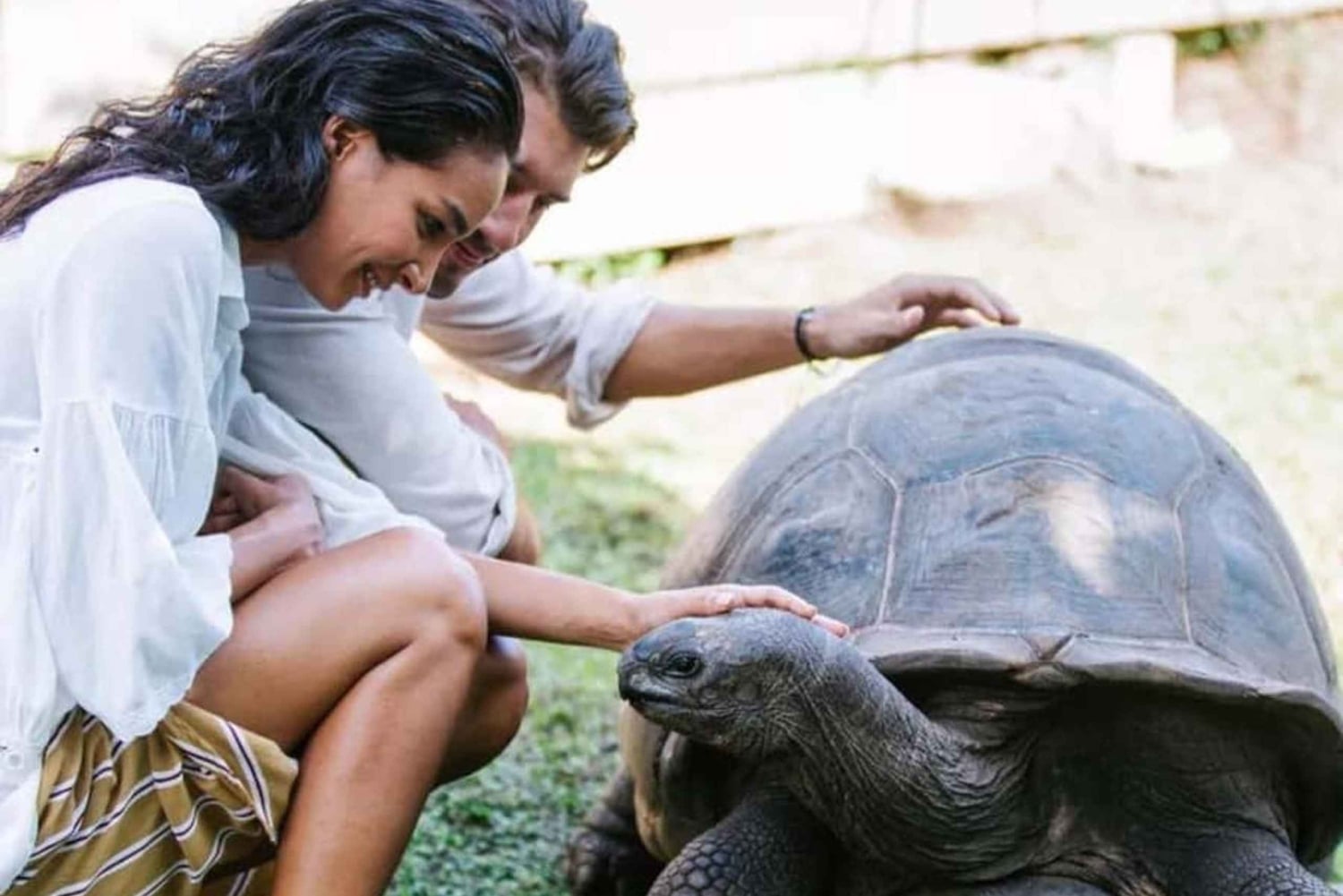 Zanzibar: Kryddodling, Prison Island och Stone Towns nattmarknad