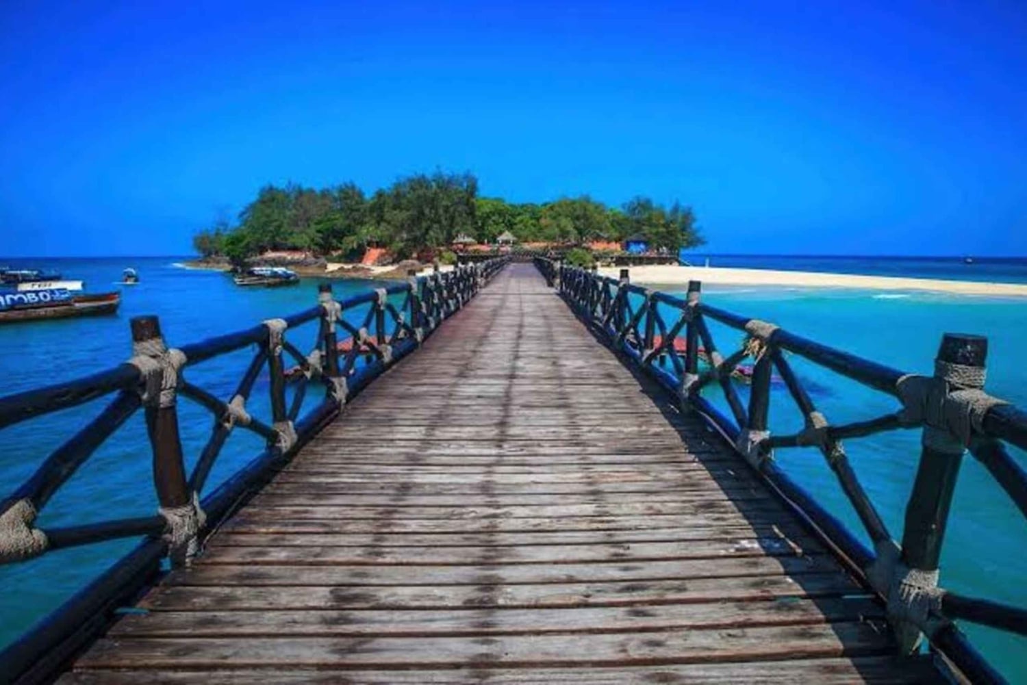 Zanzibar: Kryddodling, Prison Island och Stone Towns nattmarknad