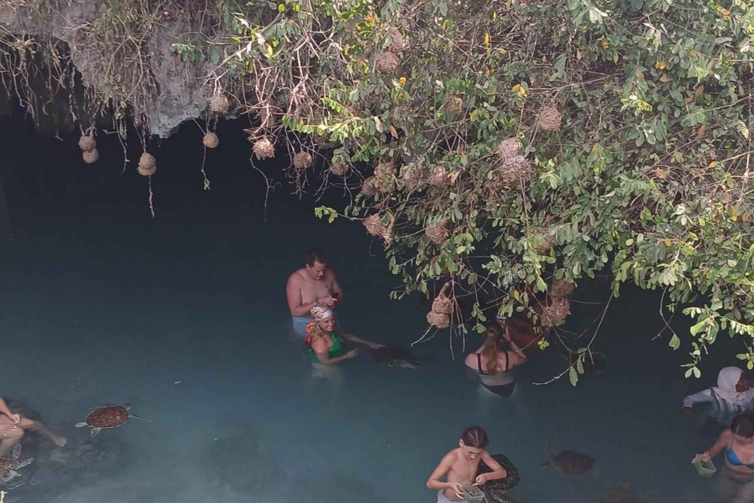 ザンジバル：スパイス農園、サラム洞窟、カメと泳ぐ、ロックレストラン