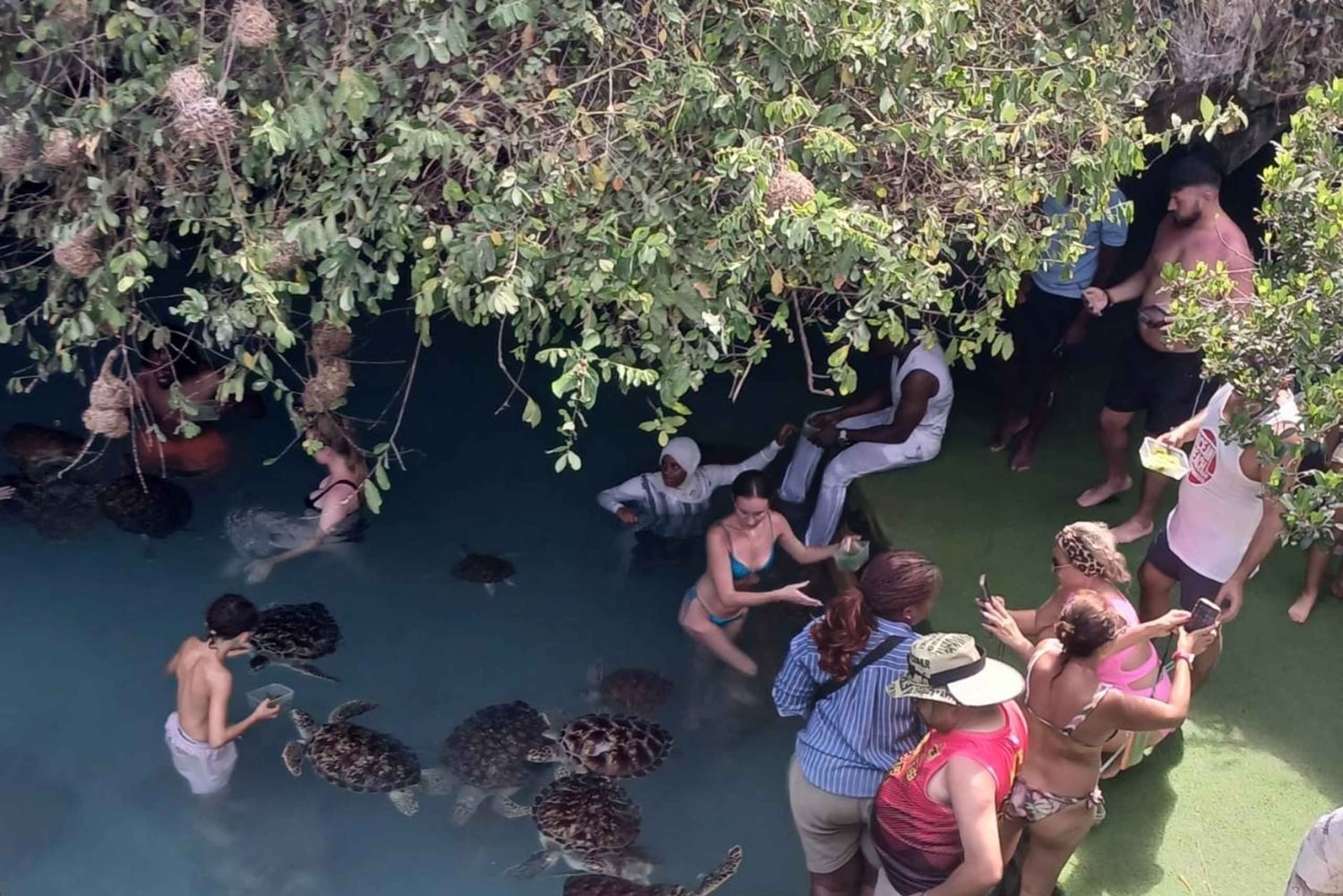 ザンジバル：スパイス農園、サラム洞窟、カメと泳ぐ、ロックレストラン