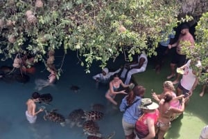 ZANZIBAR: Farma przypraw, jaskinia Salam, pływanie z żółwiami i restauracja Rock