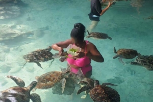 ザンジバル：スパイス農園、サラム洞窟、カメと泳ぐ、ロックレストラン