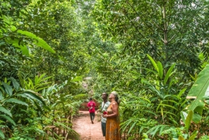 ザンジバル：スパイス農園、サラム洞窟、カメと泳ぐ、ロックレストラン