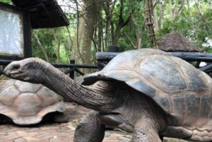 Sansibar: Gewürzfarm, Stone Town und Prison Island Tour