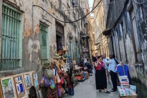 Sansibar: Gewürzfarm, Stone Town und Prison Island Tour