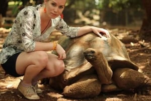 Sansibar: Gewürzfarm, Stone Town und Prison Island Tour