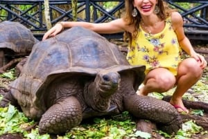 Sansibar: Gewürzfarm, Stone Town und Prison Island Tour