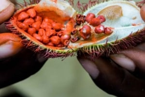 Sansibar: Gewürzfarm, Stone Town und Prison Island Tour