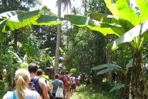 Sansibar: Gewürzfarm, Stone Town und Prison Island Tour