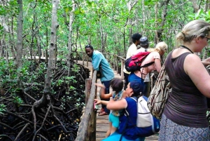 Zanzibar: farma przypraw, Stone Town i wycieczka do jaskini Salaam