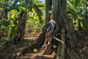 Sansibar: Mausteviljelmäkierros ja ruoanlaittokurssi lounaalla